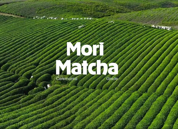 Mori Matcha